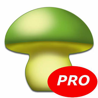 ֻϷ