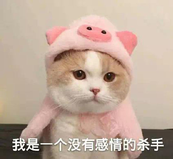 ֻϷ
