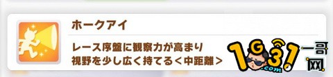 smn_12.jpg